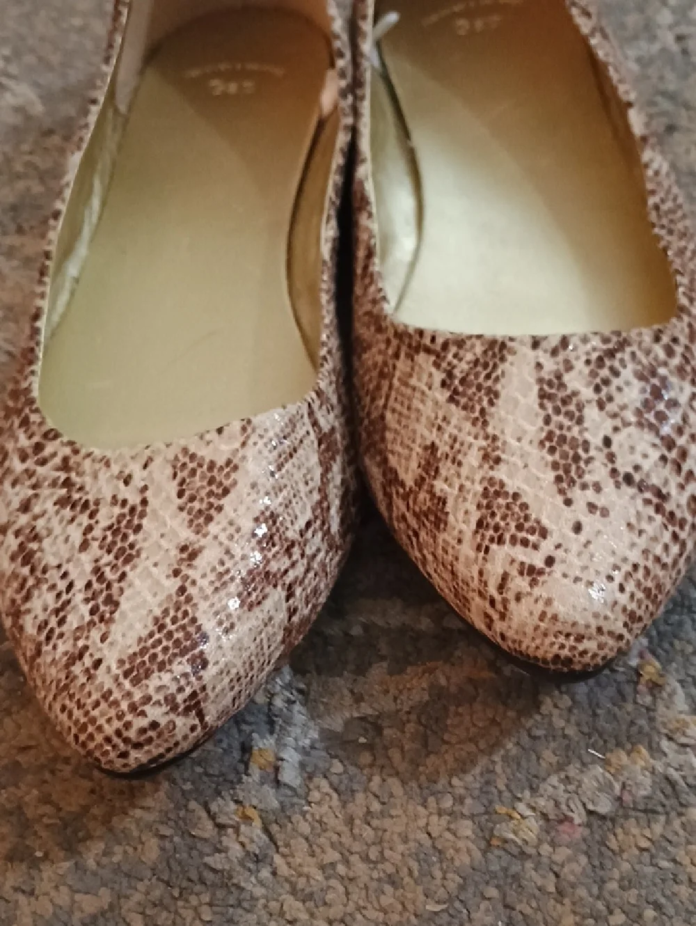GAP, Snake Print Pointed Toe Flats - Neutral Colors, Size 7